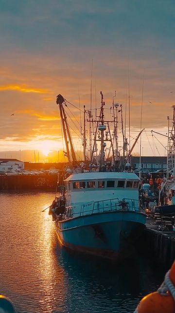 渔船日落港口停泊
