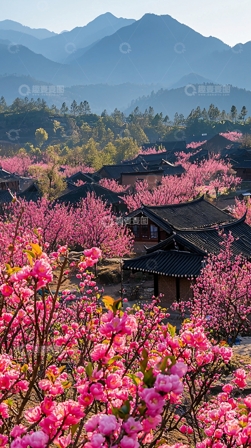 高清大图下载【趣麦麦图】山间粉红色桃花村庄