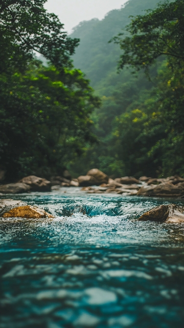 清澈溪流