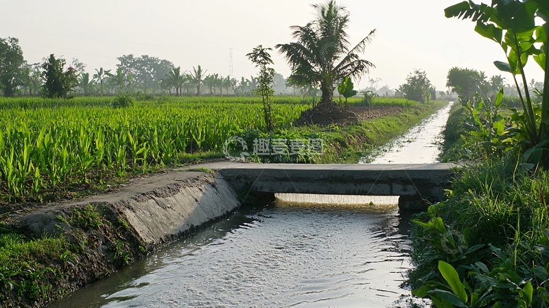 高清大图下载【趣麦麦图】稻田灌溉水渠乡村景色
