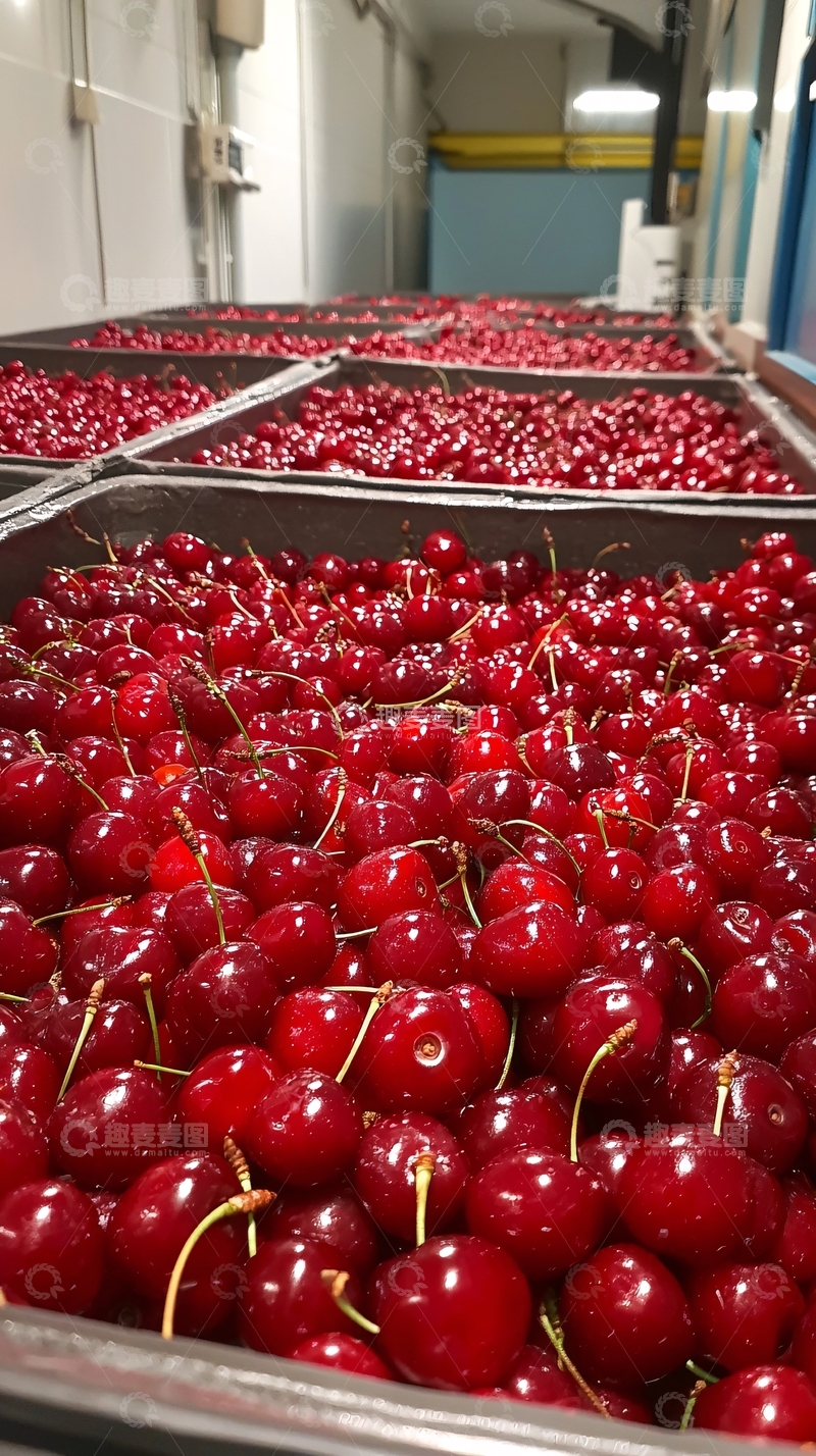 高清大图下载【趣麦麦图】新鲜红樱桃批发