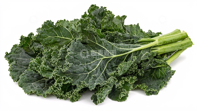 高清大图下载【趣麦麦图】新鲜羽衣甘蓝叶片特写