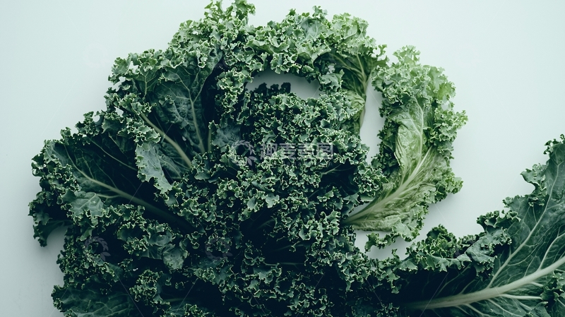 高清大图下载【趣麦麦图】羽衣甘蓝特写