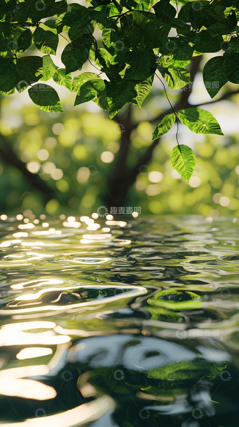 高清大图下载【趣麦麦图】阳光下的绿叶倒影