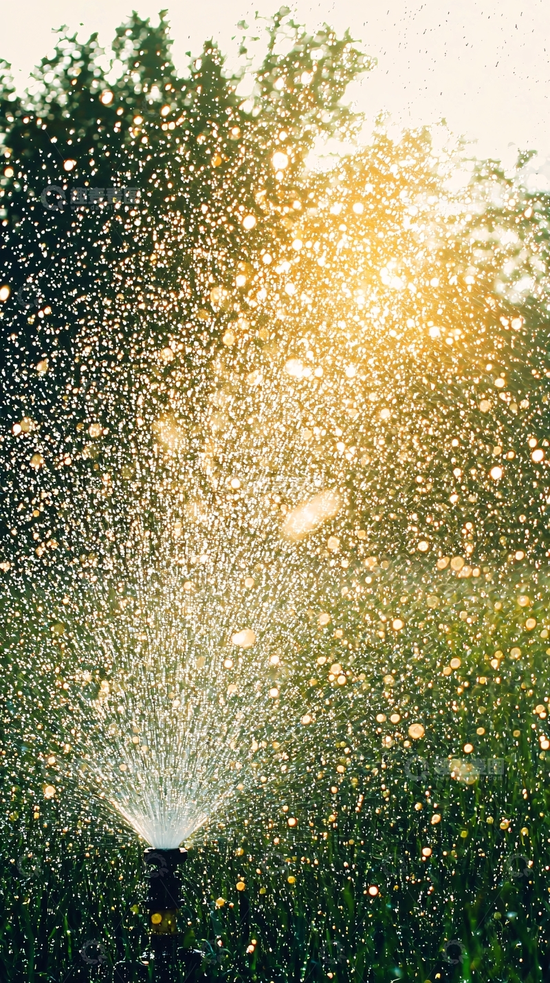 高清大图下载【趣麦麦图】阳光洒在喷灌的草坪上