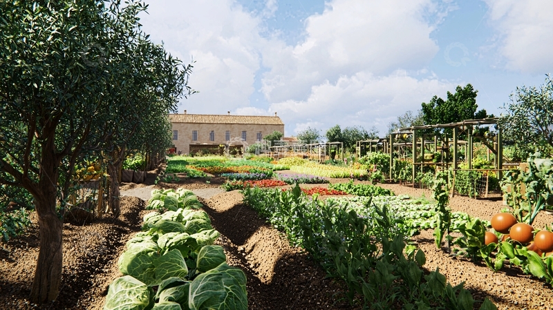 高清大图下载【趣麦麦图】乡村庄园蔬菜园