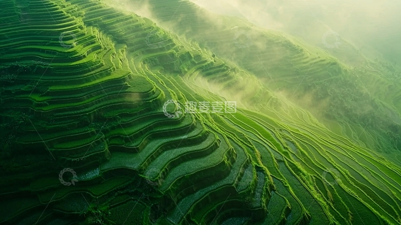 高清大图下载【趣麦麦图】梯田