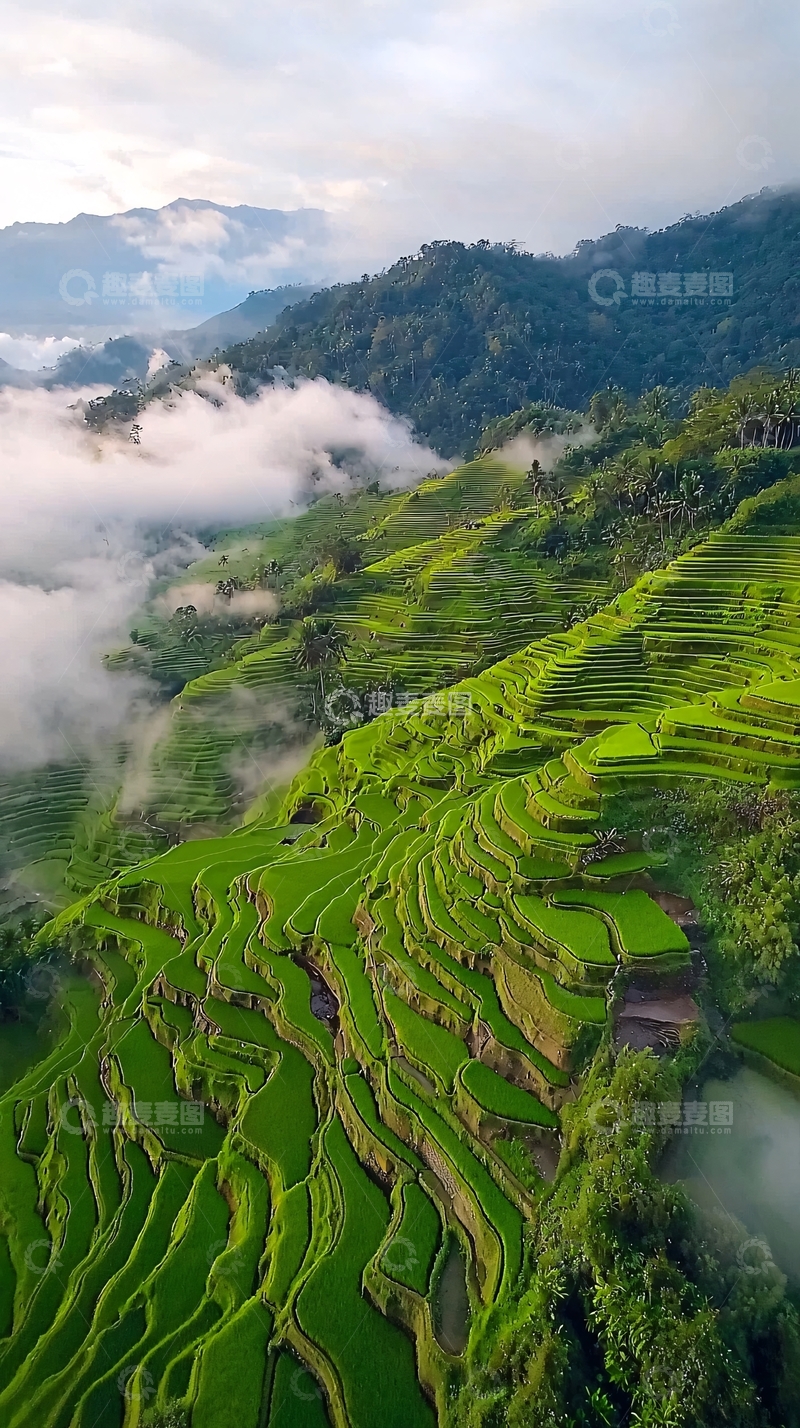 高清大图下载【趣麦麦图】梯田