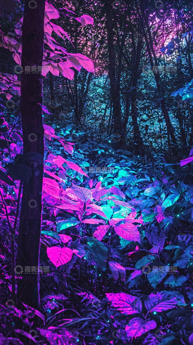 高清大图下载【趣麦麦图】梦幻森林