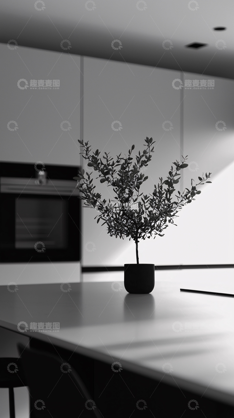 高清大图下载【趣麦麦图】极简风格厨房盆栽