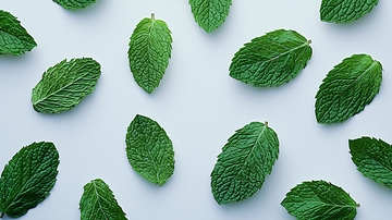薄荷叶平铺背景图