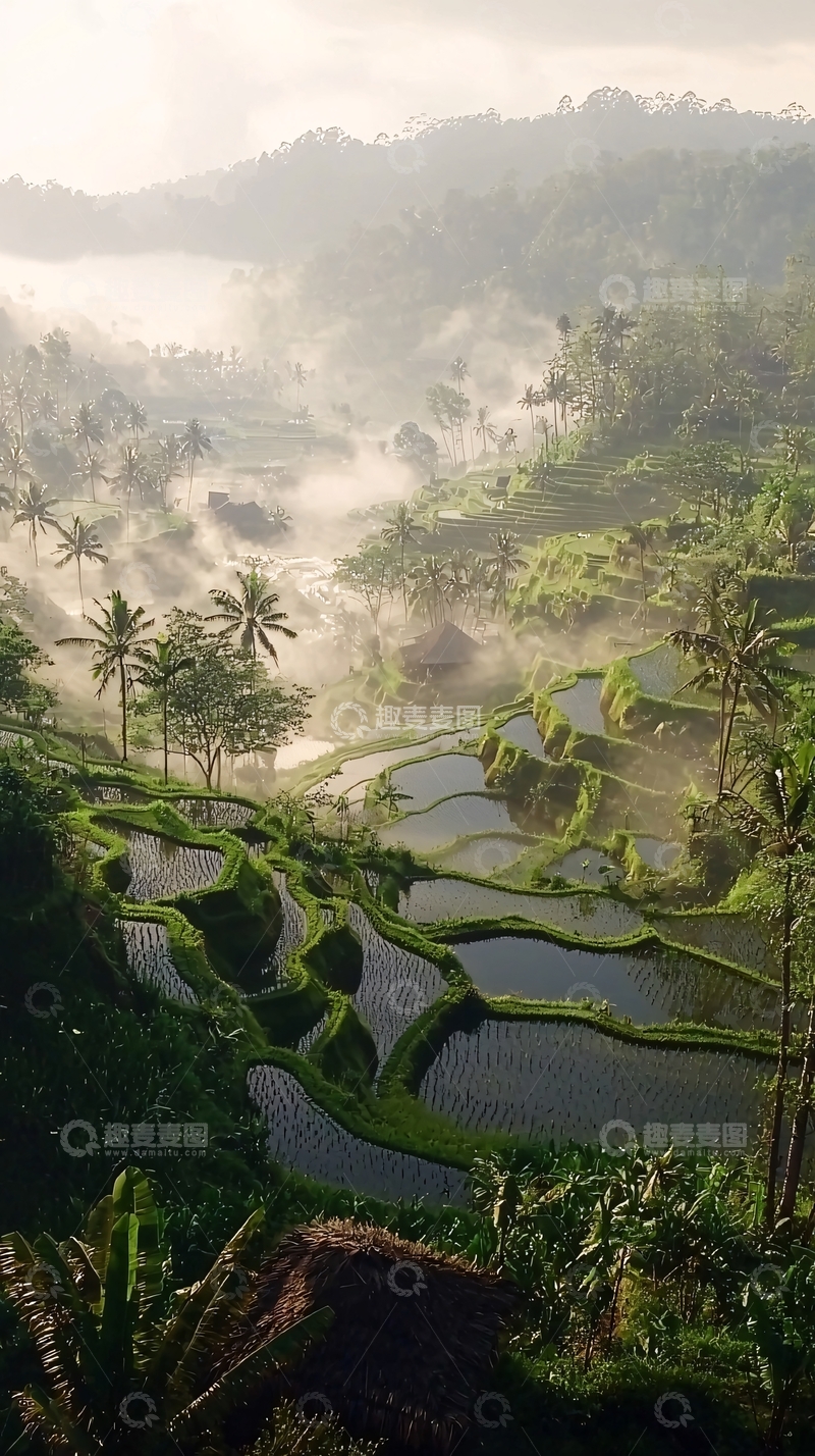 高清大图下载【趣麦麦图】梯田