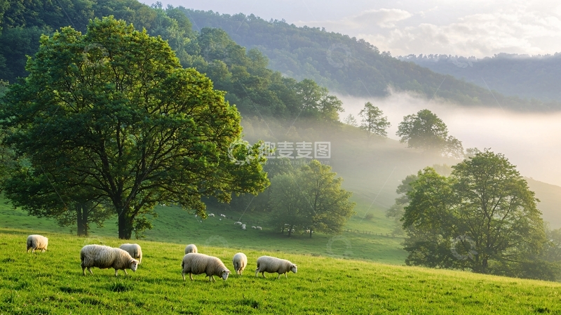 高清大图下载【趣麦麦图】清晨山峦绵延的田园风光