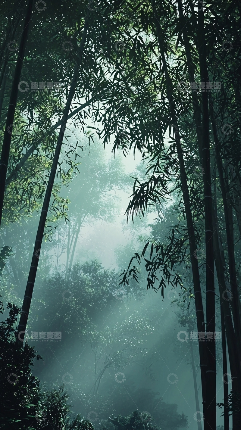 高清大图下载【趣麦麦图】雾气朦胧的竹林深处