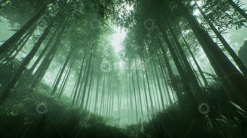 高清大图下载【趣麦麦图】雾气弥漫的竹林