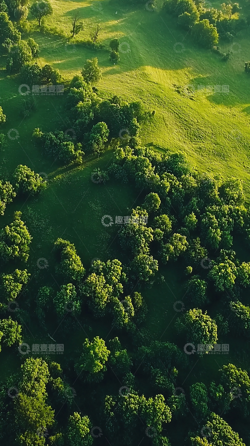 高清大图下载【趣麦麦图】绿色山丘鸟瞰图
