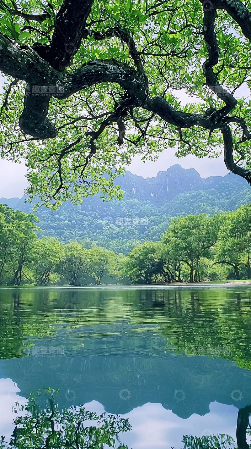 高清大图下载【趣麦麦图】绿树掩映下的宁静湖泊