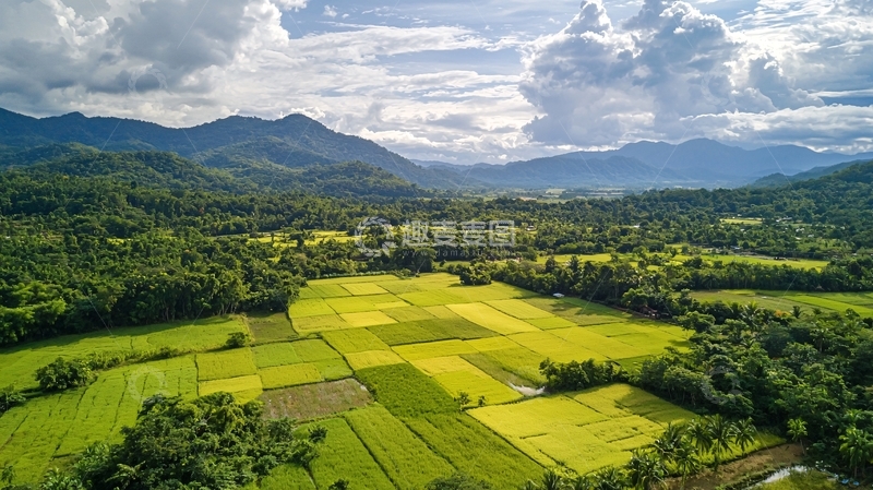 高清大图下载【趣麦麦图】梯田风光10