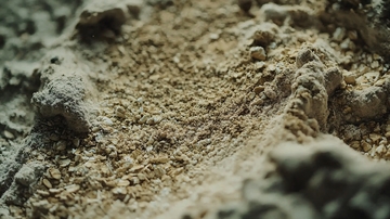 混合谷物粉末特写