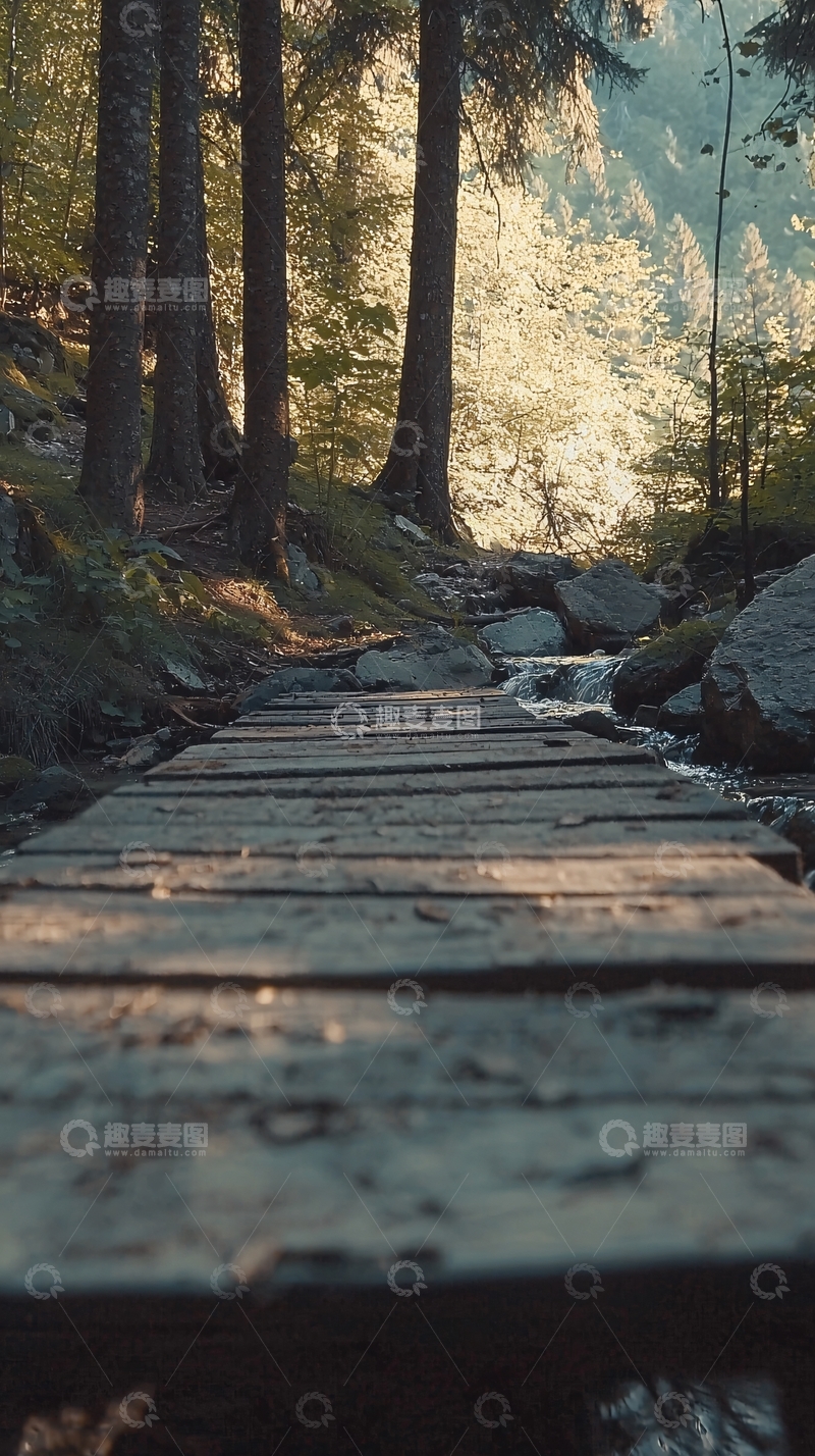 高清大图下载【趣麦麦图】森林小路