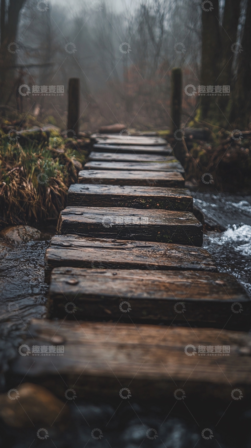 高清大图下载【趣麦麦图】雾气森林木桥