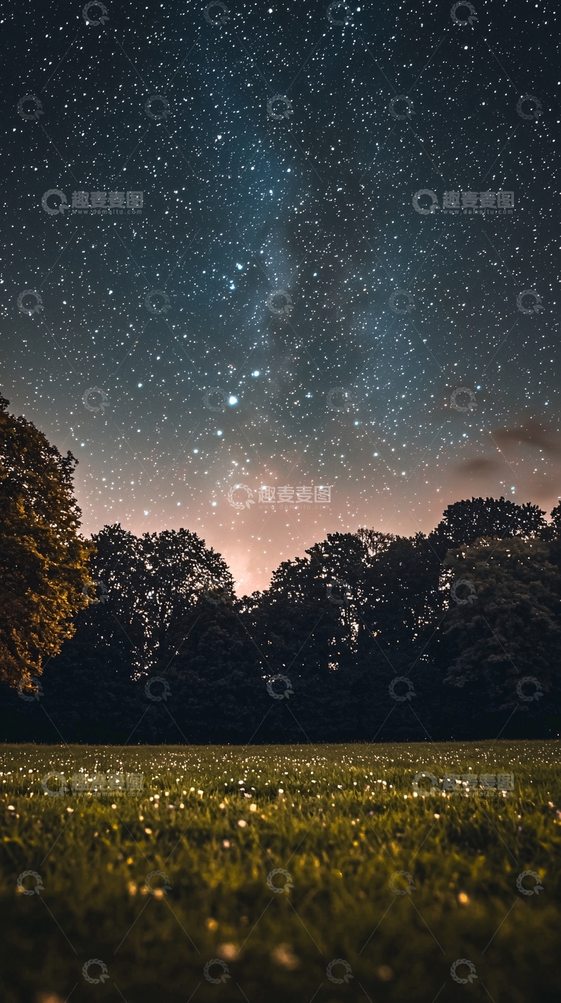 高清大图下载【趣麦麦图】星空下的草地