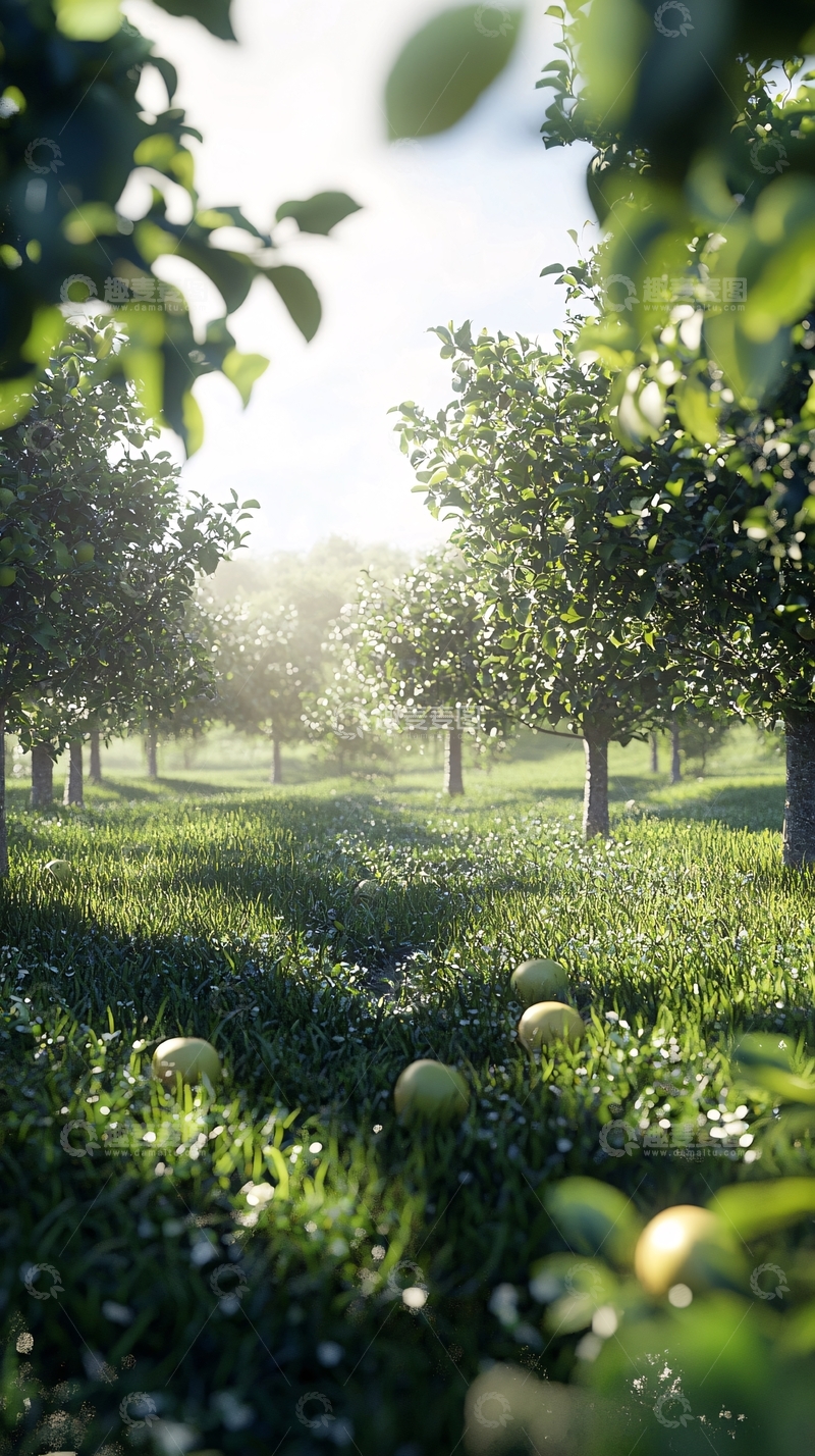 高清大图下载【趣麦麦图】阳光下的果园