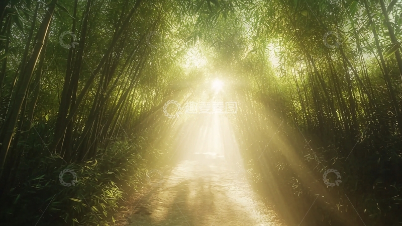 高清大图下载【趣麦麦图】阳光透过竹林小路