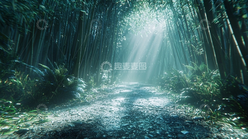 高清大图下载【趣麦麦图】光线透过竹林小路