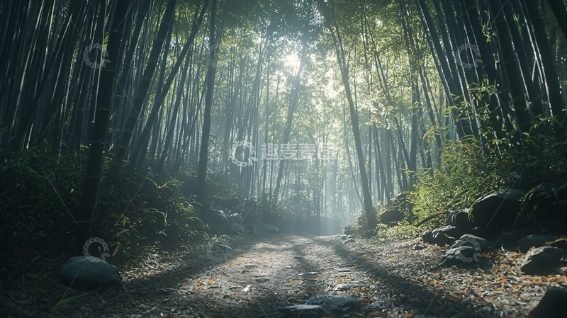 高清大图下载【趣麦麦图】竹林小路