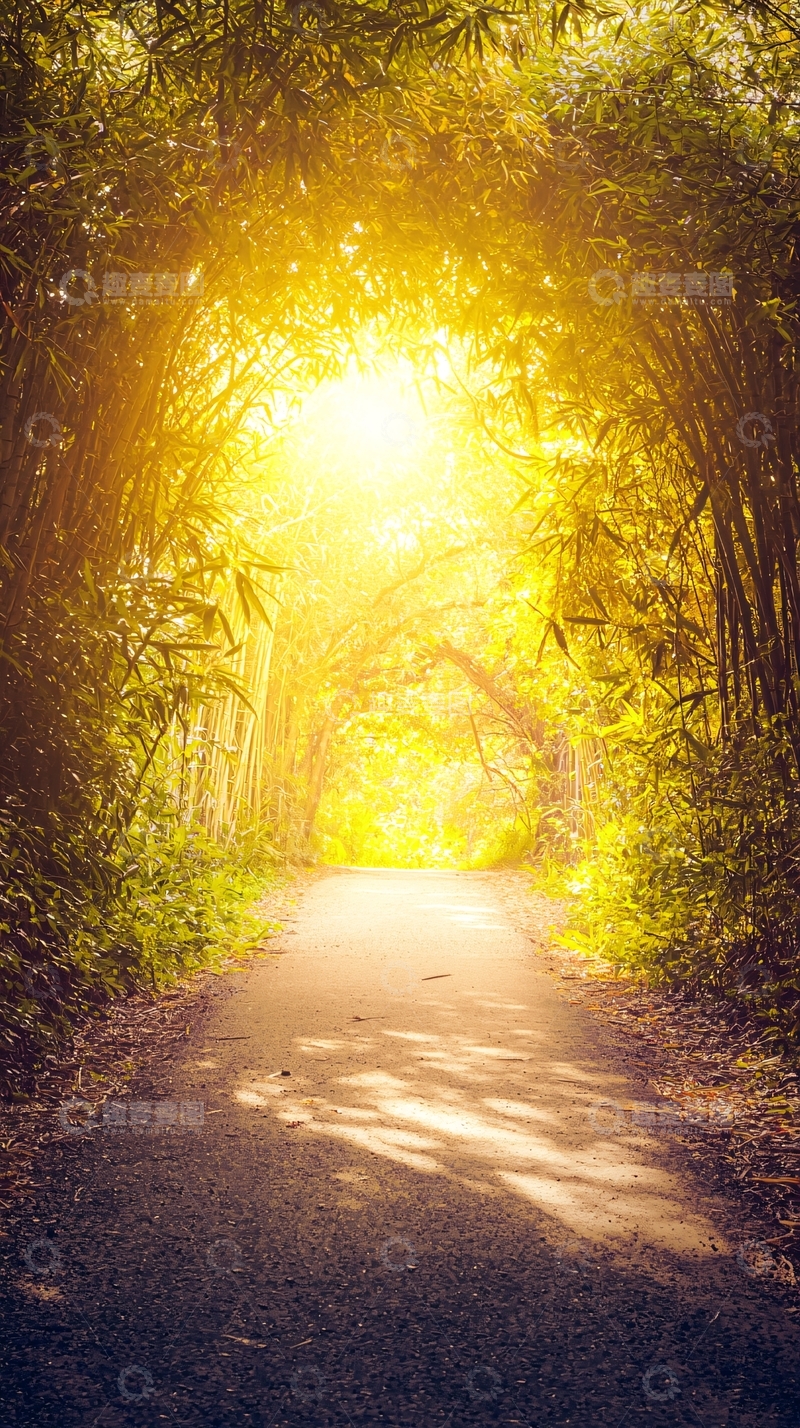 高清大图下载【趣麦麦图】阳光森林小路