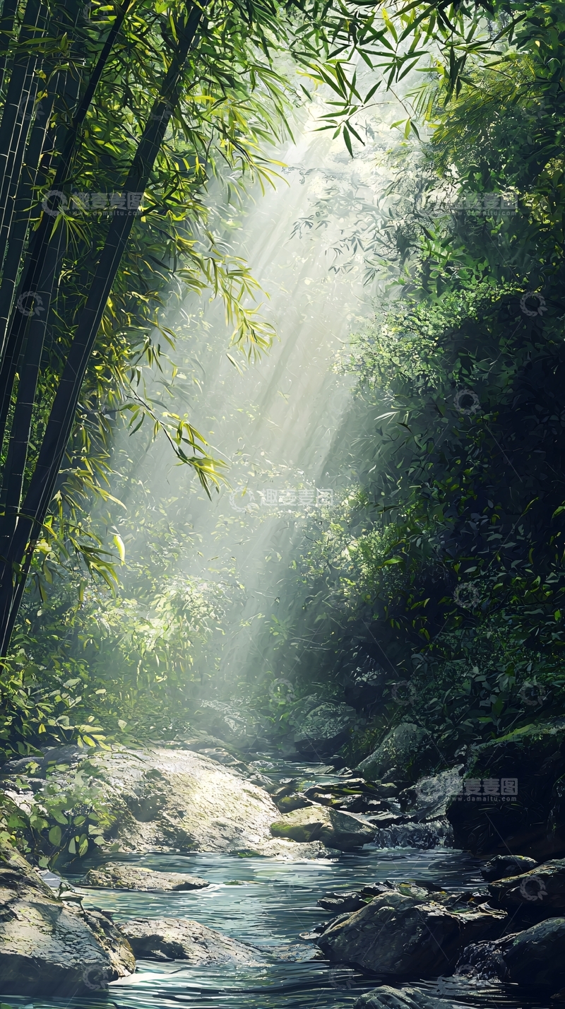 高清大图下载【趣麦麦图】阳光透过竹林溪流