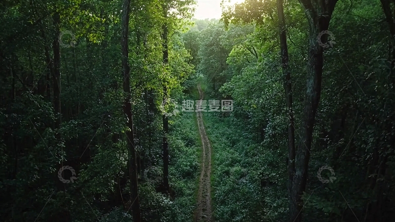 高清大图下载【趣麦麦图】森林小路