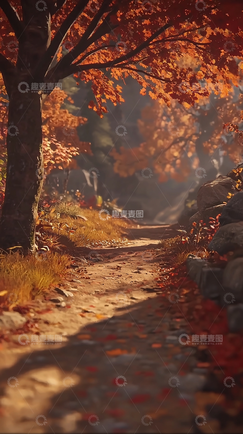 高清大图下载【趣麦麦图】秋日小路
