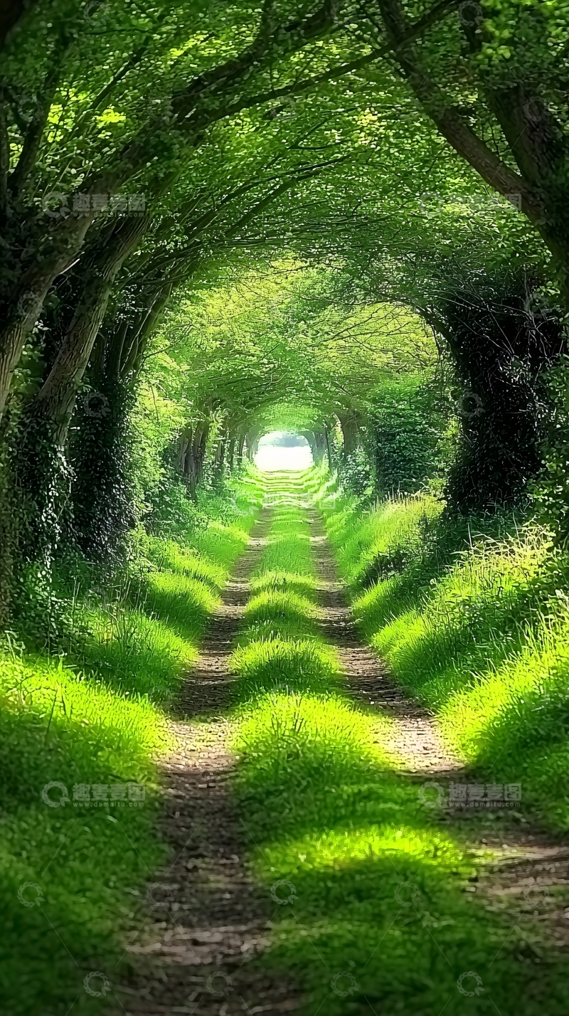 高清大图下载【趣麦麦图】绿树成荫的林间小路