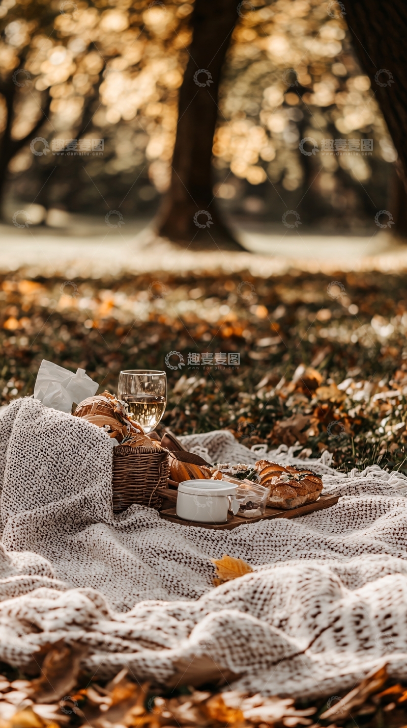 高清大图下载【趣麦麦图】秋日公园野餐