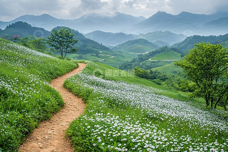 高清大图下载【趣麦麦图】山间小路蜿蜒花海