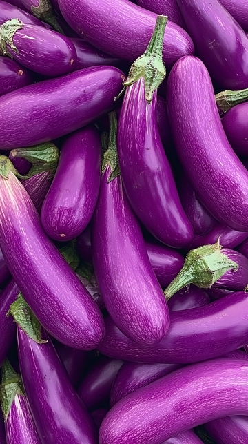 紫色长茄子