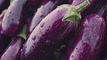 新鲜饱满的紫色茄子