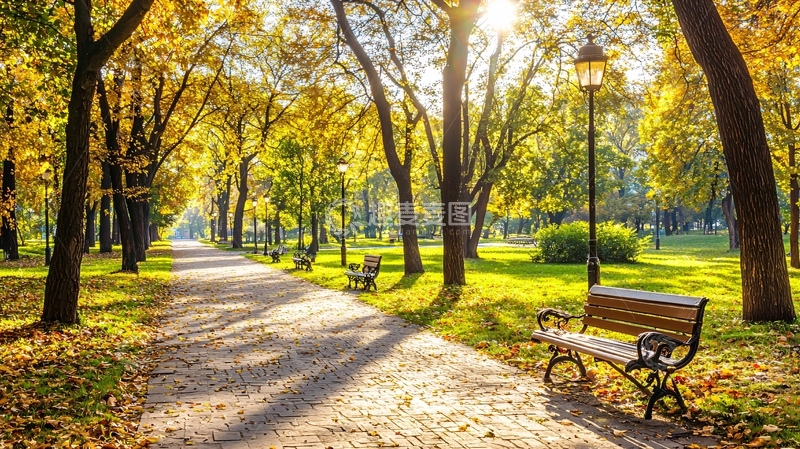 高清大图下载【趣麦麦图】秋日公园小路