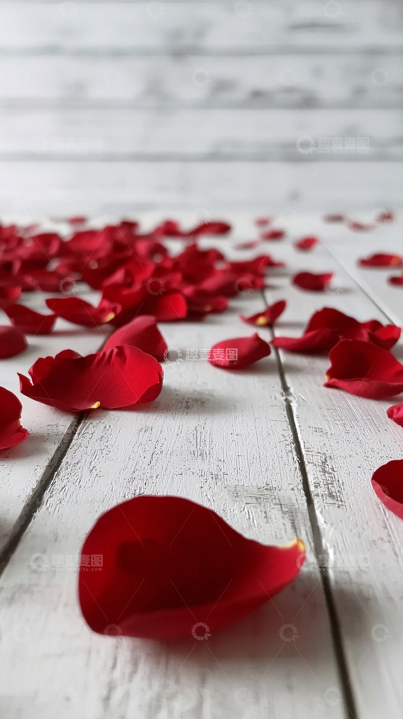 高清大图下载【趣麦麦图】红玫瑰花瓣散落木板