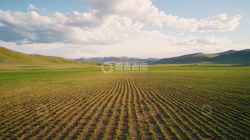 高清大图下载【趣麦麦图】绿色田野广阔景色