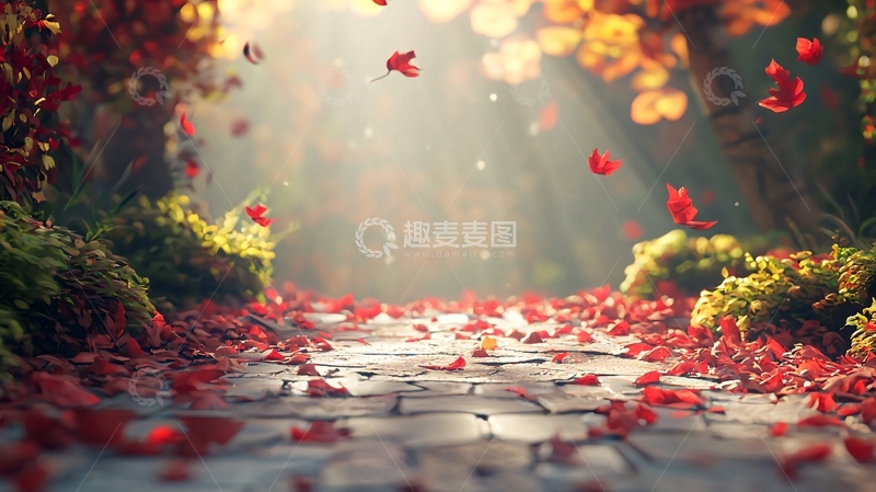 高清大图下载【趣麦麦图】秋日小路落叶纷飞