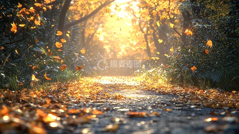 高清大图下载【趣麦麦图】秋日小路落叶纷飞
