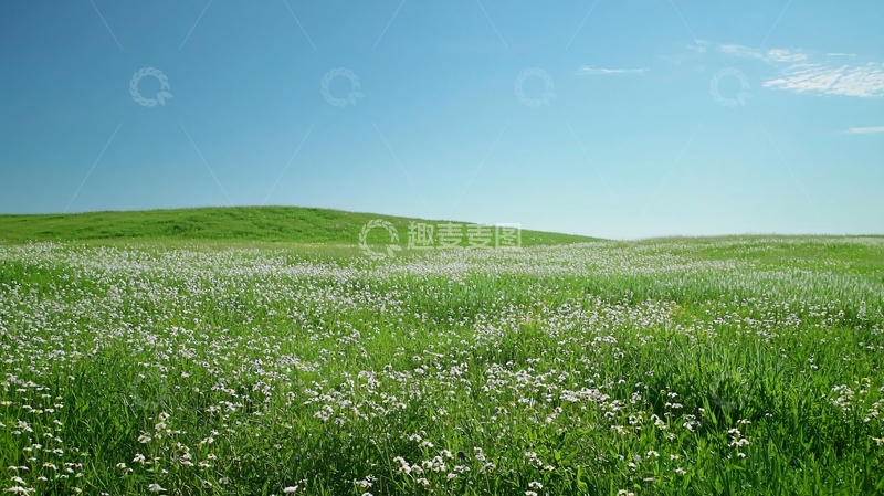 高清大图下载【趣麦麦图】绿色田野