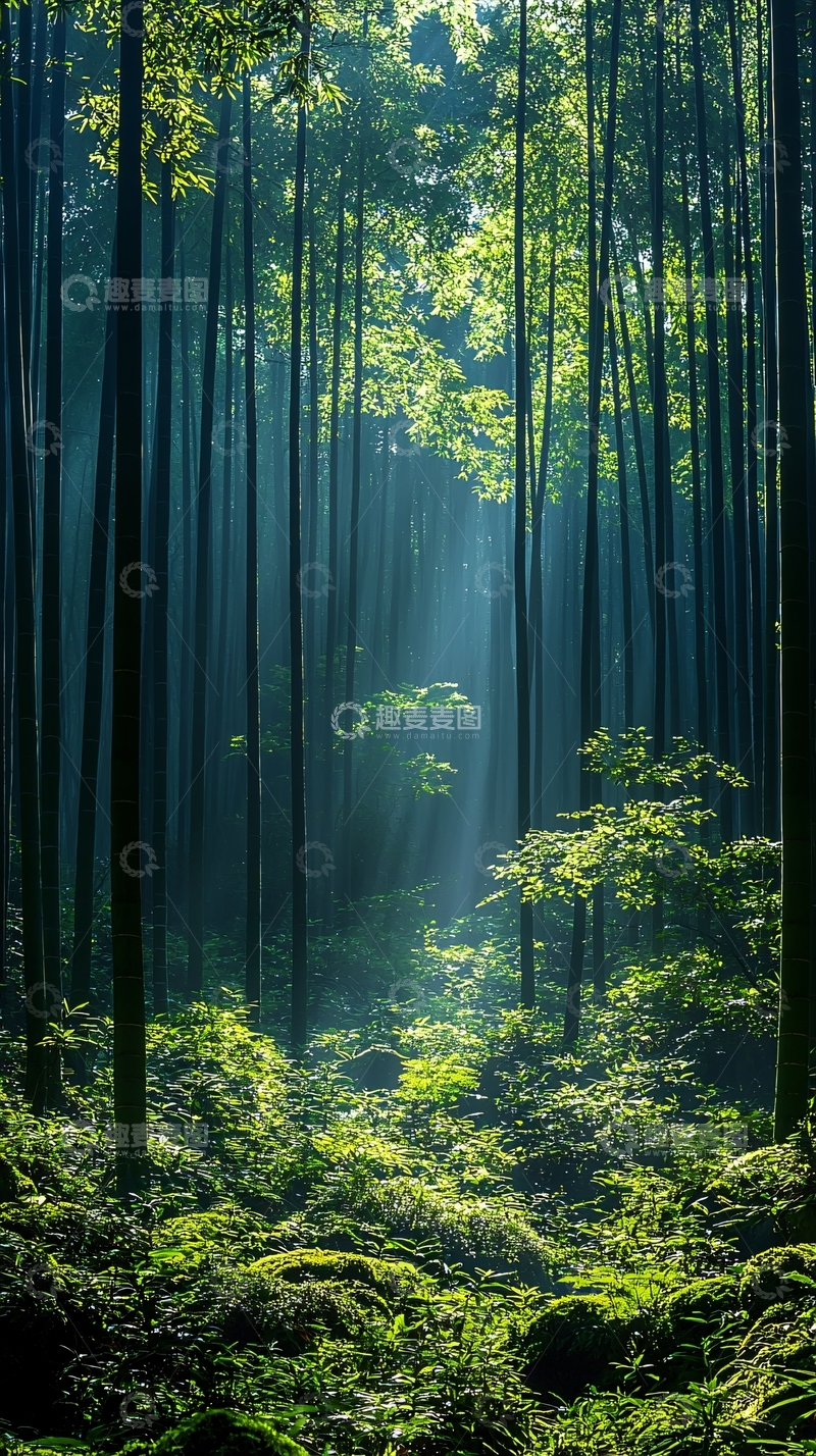 高清大图下载【趣麦麦图】绿色森林