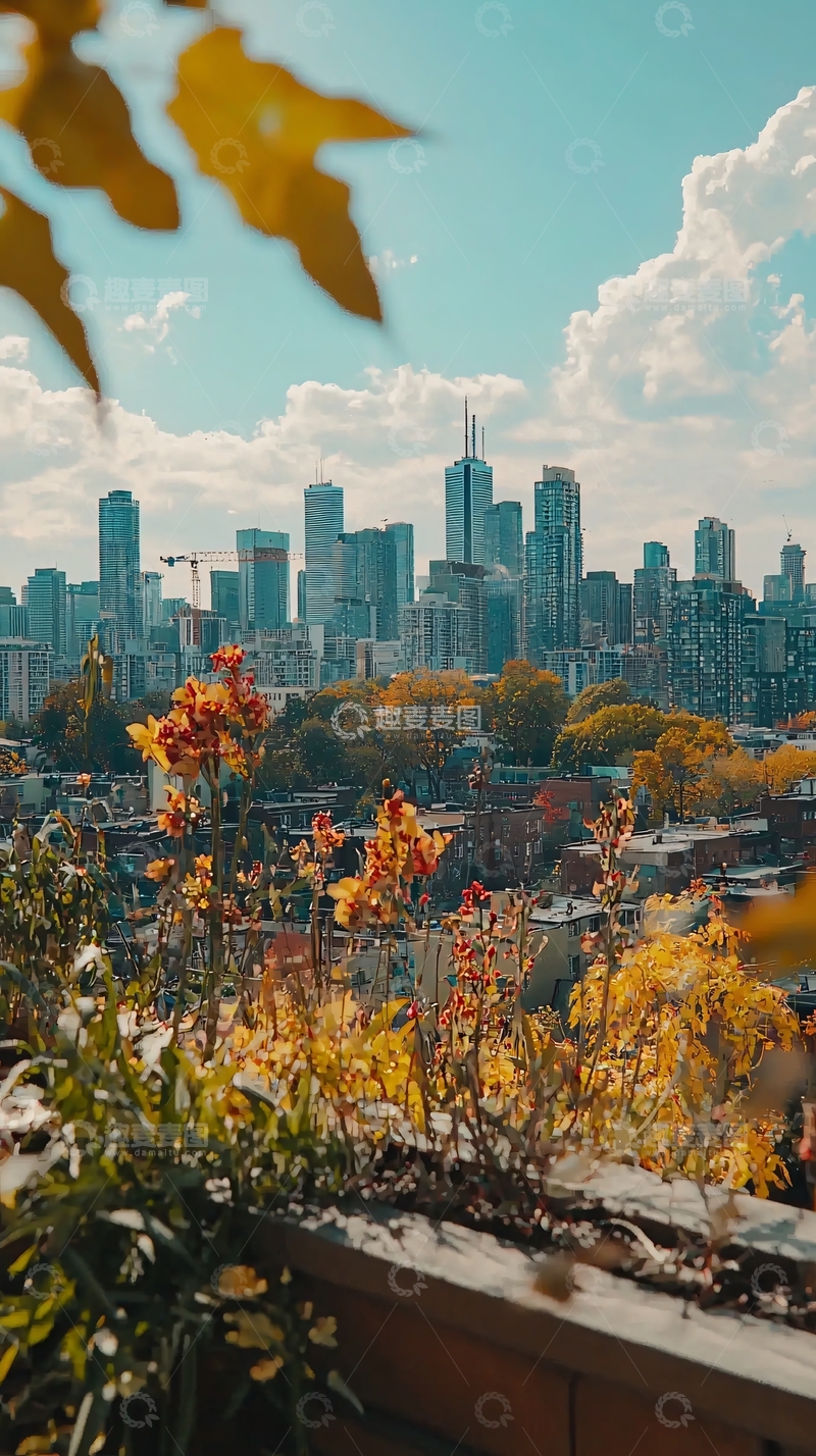 高清大图下载【趣麦麦图】秋日多伦多城市景观