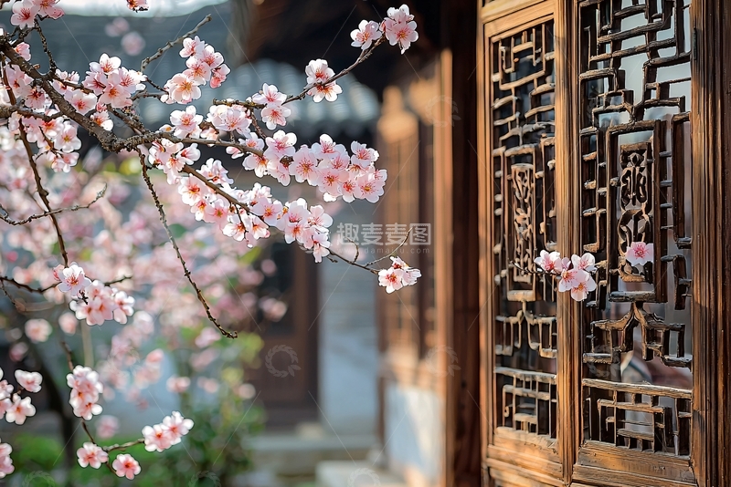 高清大图下载【趣麦麦图】古建筑旁盛开的梅花