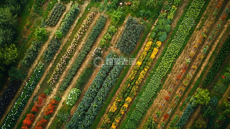 高清大图下载【趣麦麦图】高空俯瞰农田景色