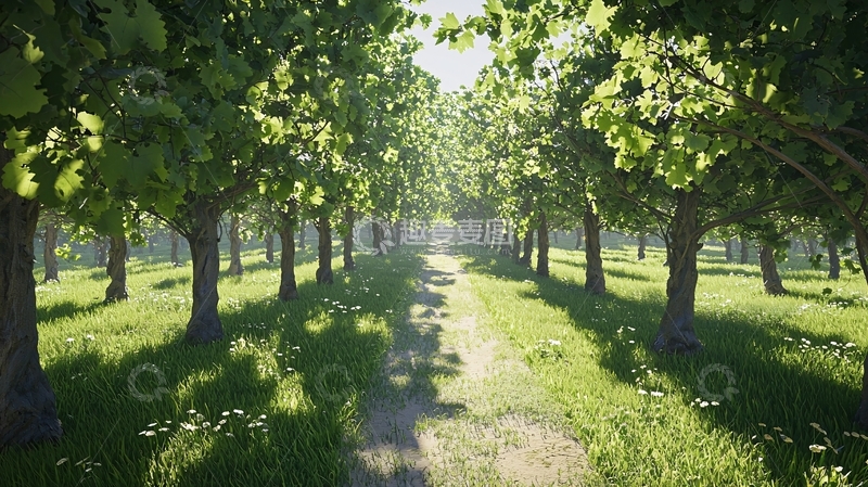 高清大图下载【趣麦麦图】阳光林荫小路